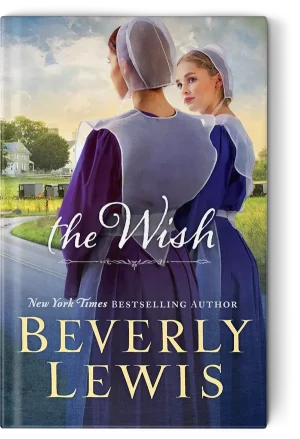 Two Amish women looking out at a road