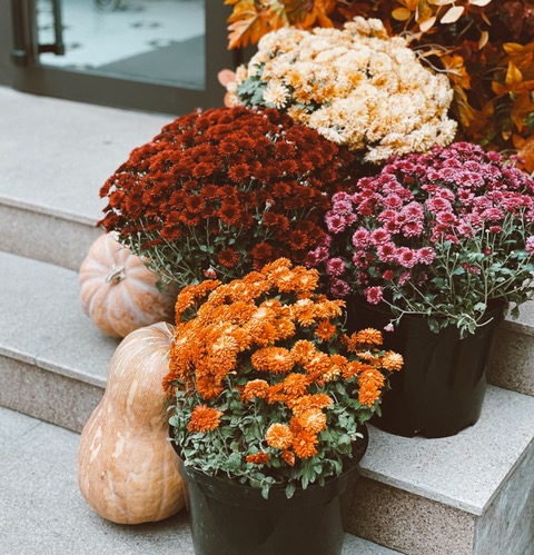 Featured image for “September ’26”